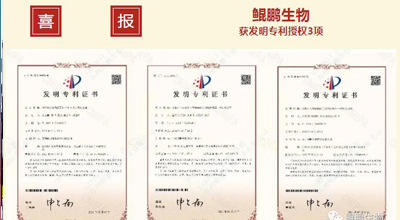 hb火博·体育生物 | 核心平台技术获得中国发明专利